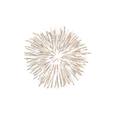 fireworks1