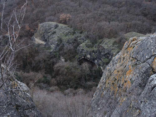 DSCN0560.jpg
