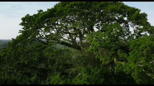 Pole.to.Pole.with.Will.Smith.S01E02.The.Amazon.Deadly.Creatures.2160p.DSNP.WEB DL.CZ EN.DD+5.1.DoVi..jpg