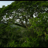 Pole.to.Pole.with.Will.Smith.S01E02.The.Amazon.Deadly.Creatures.2160p.DSNP.WEB DL.CZ EN.DD+5.1.DoVi.