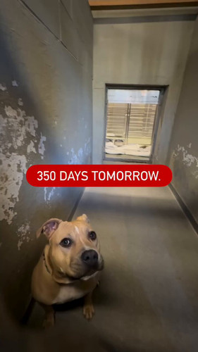 8MQFeBsiM 28FRWd.jpg