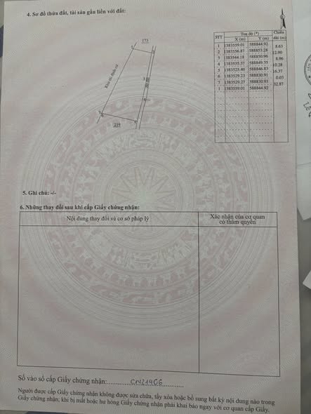 614471797 1379402930341631 1105476655771801122 n.jpg