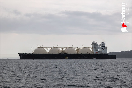 G nM1SXbEAAwirF?format=jpg.jpg