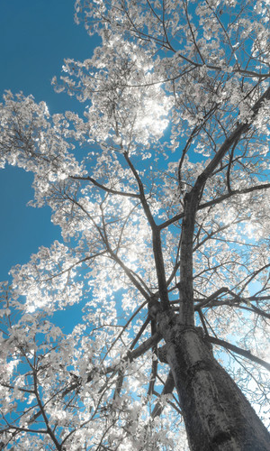 IMG 20260114 204306 e5f18275 a179 4317 ae74 81e10af8f205.jpg