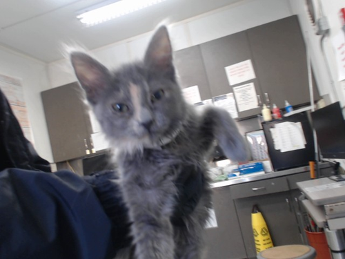 G jnSLaXMAEV7ek?format=png.png