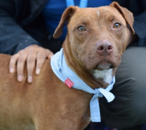 G aOponWcAANpHr?format=jpg.jpg