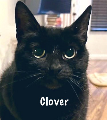 G kaUbxbQAIXP7b?format=jpg.jpg