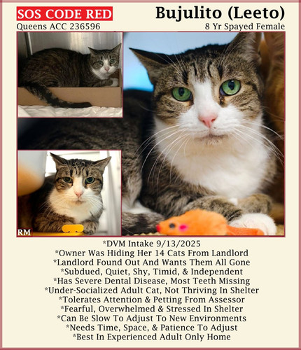 G k39YobQAAlLCA?format=jpg.jpg