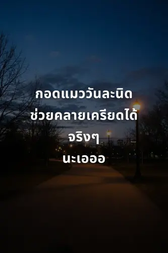 66fb95c4512a.webp