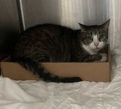 G2jX9 uaAAEcHN5?format=png.png