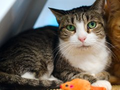 G l8 J7akAERkJp?format=png.png