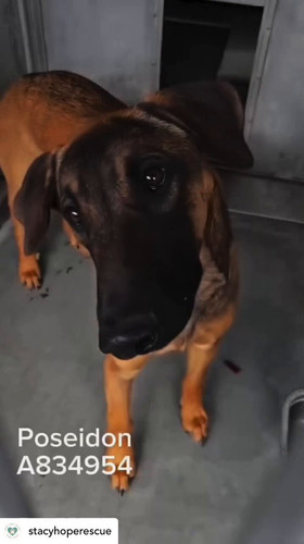 HiXbuBJ0k mnW1S7.jpg