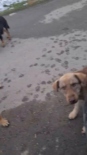 BS7vQiidqvDV R6a.jpg