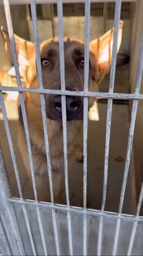 QB Gv46uEe2n0lCI.jpg