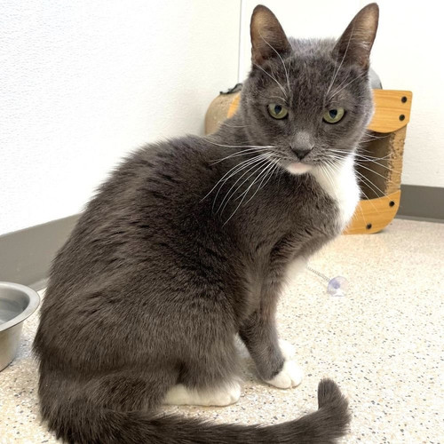 G hzDylboAAkjuj?format=jpg.jpg