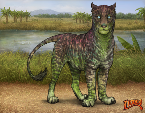 lioden wardrobe 2026 01 14T092005.901.png