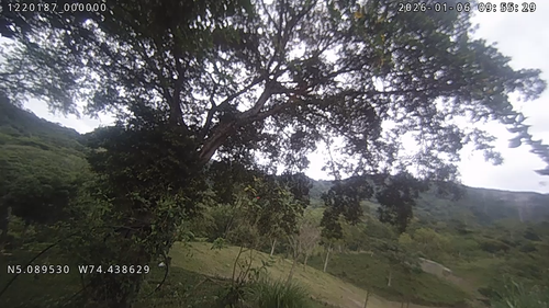 3201220187@2026010609561800 mp4 20260114095531.png