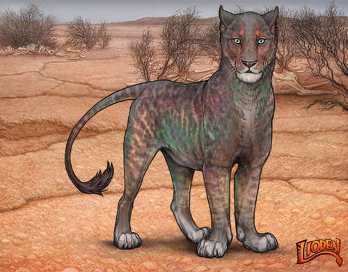 lioden wardrobe 2026 01 14T092600.701.png