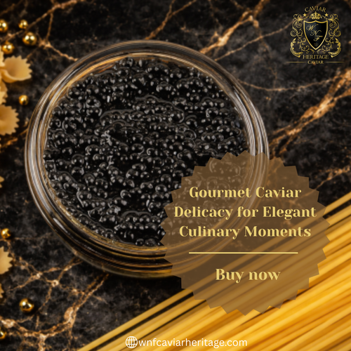 Gourmet Caviar Delicacy for Elegant Culinary Moments.png