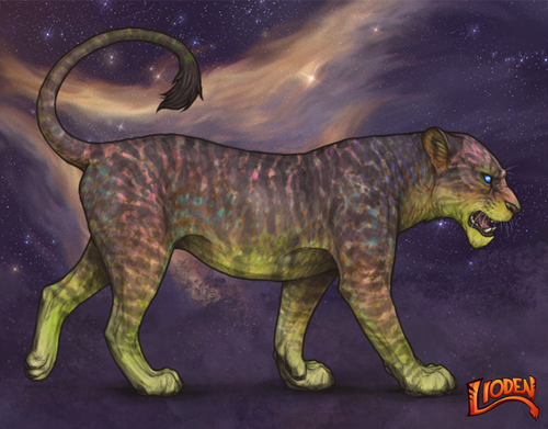 lioden wardrobe 2026 01 14T091511.673.png