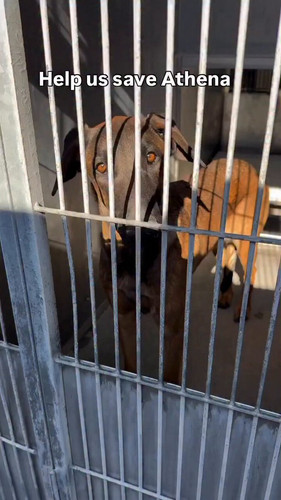 h2xu U3QqpIc7mMj.jpg