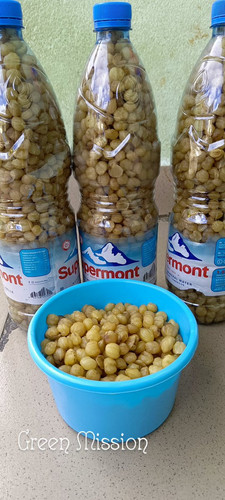 G iX1dgWwAAPRR7?format=jpg.jpg