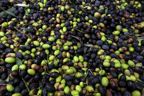 G iW ohW0AA5xFG?format=jpg.jpg