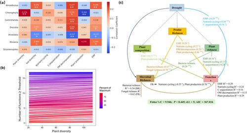 G dc6YKbsAA rQl?format=jpg.jpg