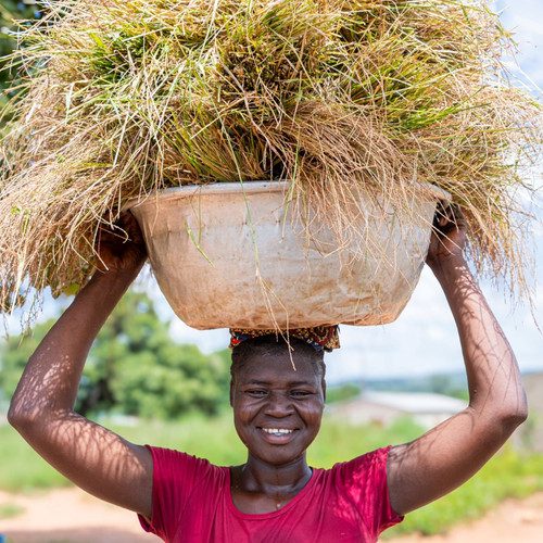 G irjnaXsAIBhms?format=jpg.jpg