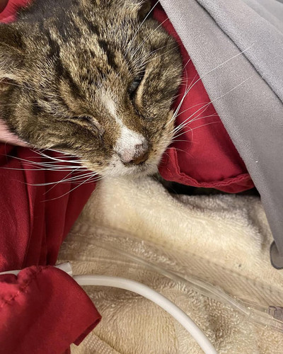 G gb1KXW0AAfDC5?format=jpg.jpg