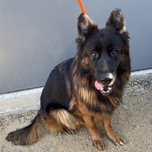 G es39BXUAAUEyc?format=jpg.jpg