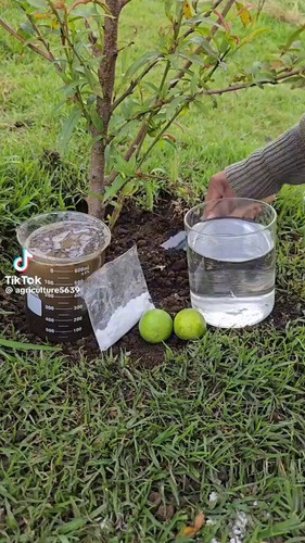 HP92smrbVU EgwSz.jpg