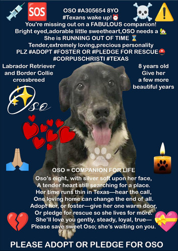 G jKTtuXwAEKU 1?format=jpg.jpg