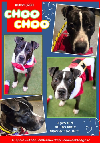 G fiyWAXwAAyciN?format=jpg.jpg