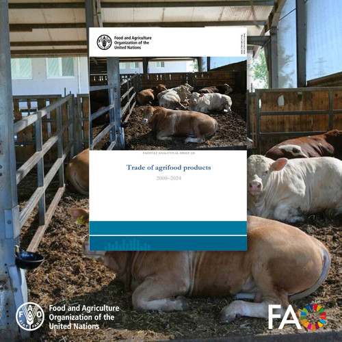 G9 lp72XIAEd2BO?format=jpg.jpg