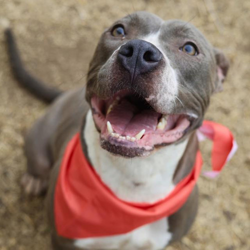 G iliH6asAENIhE?format=jpg.jpg