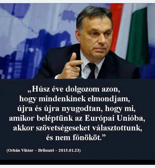 613361347 1305847584909513 4790341625642260185 n.jpg?stp=dst jpg p180x540 tt6& nc cat=101&ccb=1 7& n.jpg