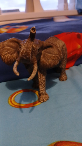 temp 1768322543880.jpg