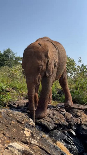 8cz9HDY 0RaIrMTd.jpg