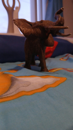 temp 1768322554471.jpg