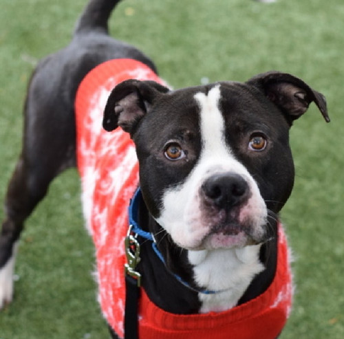 G75fkMOa0AEXm m?format=jpg.jpg