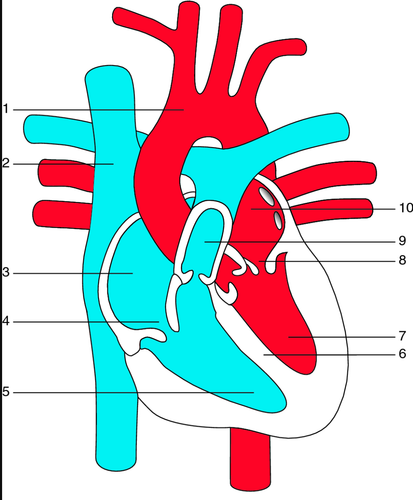 af70e9375812.png
