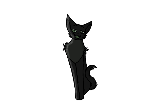 IMG 7561.png