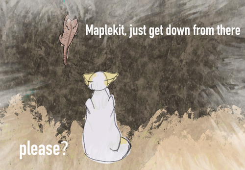 Untitled January 13, 2026 10.21.png