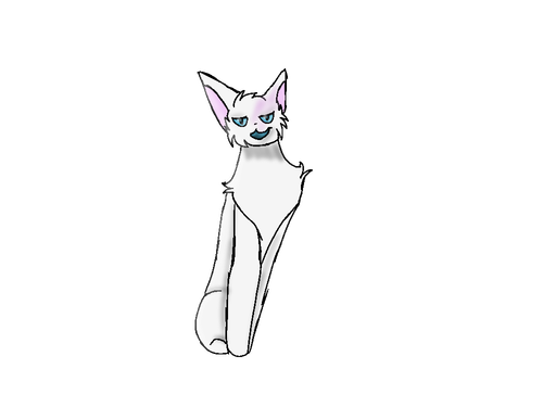 IMG 7567.png