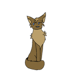 IMG 7555
