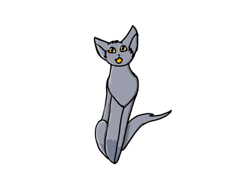 IMG 7562.png
