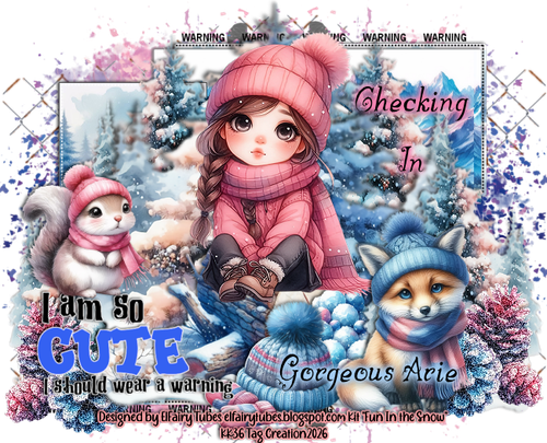 usArieSoCuteChkInKK36ElfairyAI vi