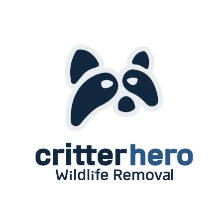 wildlife removal Hamilton.jpg