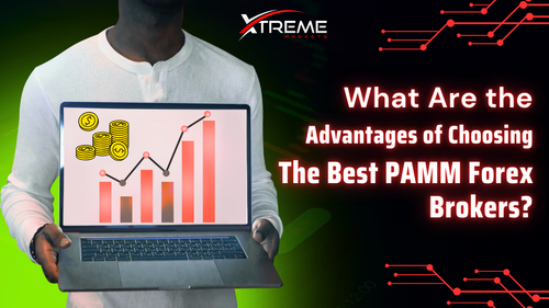 What Are the Advantages of Choosing the Best PAMM Forex Brokers.png